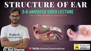 Structure of Ear in 3D | Hearing & Balancing Explained | NEET/CBSE Biology | Dr. Atul  Pratap Sharma