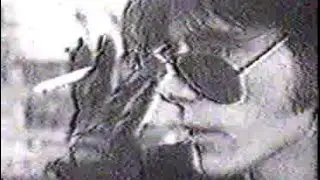 تلطيش العماني كرمال متعافي