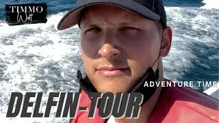 Reise Vlog  🐬 Delfin Tour an der Algarve