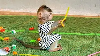 LivLiv seems don't understand |MonkeyLivLiv Fan