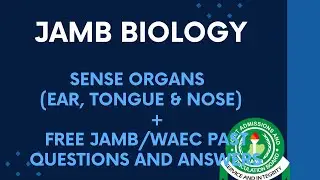 JAMB/WAEC Biology 2026 EP 112 - Sense Organs (Ear, Tongue & Nose) + Free JAMB/WAEC Questions