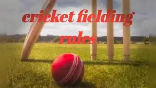 Cricket fielding RULES TAMIL