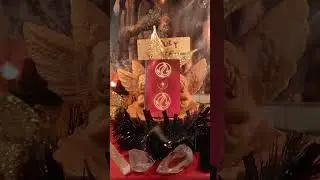 Gemini collective 1/11/26 portal  guidance from Spirit and the Angels 😇 