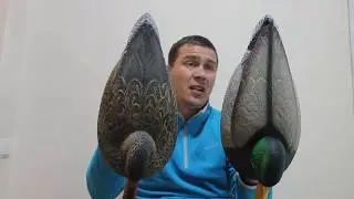 Обзор чучел Hardcore Economy Mallard Decoys &ndash; 12 Pack