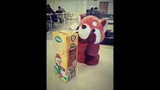 #global #core #muzlus&uuml;t #muzlu #felix #sari #keşfetbeni&ouml;ne&ccedil;ıkar #favorite #best #milk