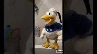 Cursed duck