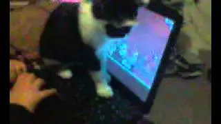 Trent Playing Angry Birds