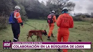 Colaboraci&oacute;n en la b&uacute;squeda de Loan