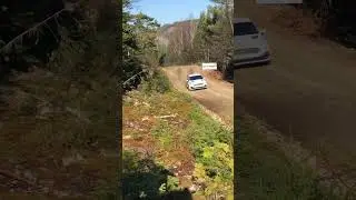 Ford fiesta snigole rallye Charlevoix 2022