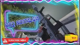 Cold War Raid TDM | BO2 Vibes |
