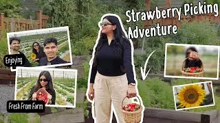 Bangalore&rsquo;s Hidden Strawberry Farm 🍓 (Worth the Hype?) | Odia Vlog