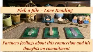 PICK A CARD- LOVE READING - Will he commit to you in the near future ?