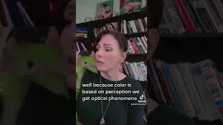 Color Perception & Simultaneous Contrast