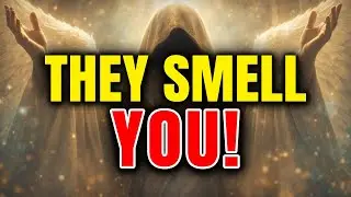 Chosen Ones: YOUR SCENT CHANGED RECENTLY &ndash; This Is Why Everyone Is Acting STRANGE 👁️&zwj;🗨️🔥