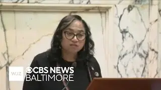 Del. Joseline Pena-Melnyk elected as new Maryland House Speaker