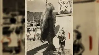 Fiji Mermaid