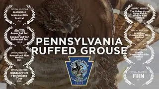Pennsylvania Ruffed Grouse