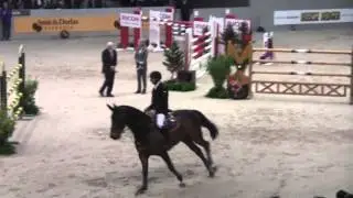 Rolex FEI World Cup Jur  Vrieling and  VDL Bubalu Indoor Brabant 2013
