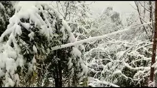 Snowfall At my home-Snowfall in kashmir-Haveli Forward Kahutta azad kashmir
