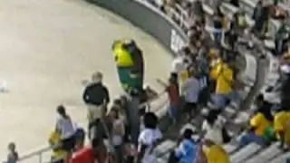 mascot gone wild 2