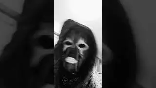 #comedy #goodvibes