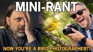 Mini-Rant...You're Not an Expert!  Stay in Your Lane