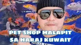 petshop malapit sa haraj kuwait