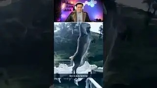 Try Not To Laugh Compilation (Part 30) 🤣🫣 | #funny #shorts #viral