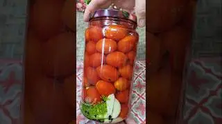 Рассол просто Бомба! Вкуснейшие ПОМИДОРЫ на зиму. Лучший Рецепт Помидоров на Зиму. Проще не бывает!