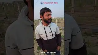 🌱 Senzara Life Care Farm Visit | Multi-Layer Farming Success Story 🌱