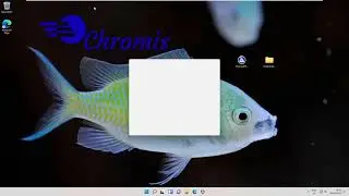 ChromisPos 146 -- MYSQL8 on Windows 11 64Bit