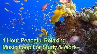 🎵🐟4K,1 Hour Peaceful Relaxing Music Loop:Aquarium Underwater Serenity Ambience #underwaterrelaxation