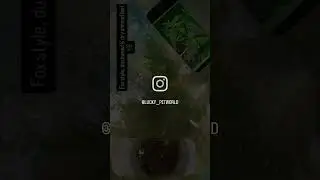 #liveplant
