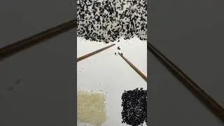 counting rice