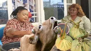 YA GABI ALAMBI LIBOKE YA MUTU YA NGOMBE PE AMATELI BA BORDURE GRAVE