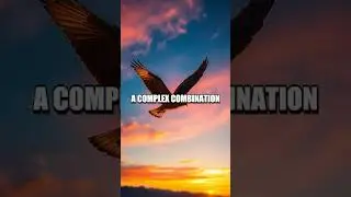 The Paradox of the Bird-Migration Dilemma