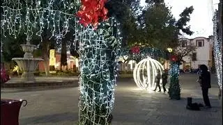 Muy solitario luce el Jardín de San Francisco ,Centro histórico de San Luis Potosí en navidad.