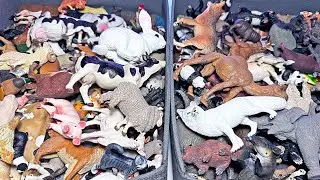 Farm Animals & Wild Animals - Cow, Sheep, Donkey, Rabbit, Pig, Goat, Duck, Fox, Wolf, Panda, Bear
