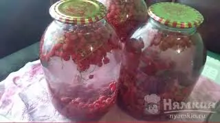 Red currant compote for winter
