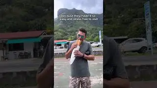 This tour guide was unhinged #travelvlog #frenchpolynesia