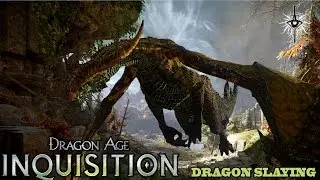 DAI - Dragon Slaying - Fereldan Frostback