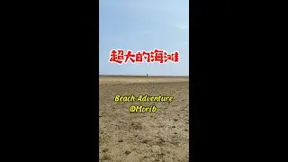 The Vast Beach Adventure 超大的海滩