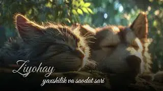 Xasadgo'y | ibratli hikoya | Ziyohay
