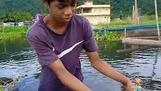 snakehead fishing 5strike 4 landed catch by jp lure Jumpfrog v2 4cm