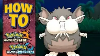 HOW TO GET Alolan Raticate in Pokemon Ultra Sun and Moon