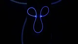 LED Dog Collar Demonstration - SalesHive