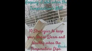 Top 5 Strategies for Keeping your Horse Warm and Healthy in Freezing Temps