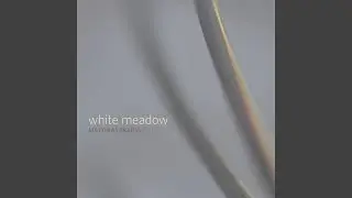 White Meadow