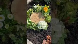 🤍💛🧡 Grabbepflanzung in Kreisform &ndash; Wir zeigen Dir, wie&rsquo;s gelingt: