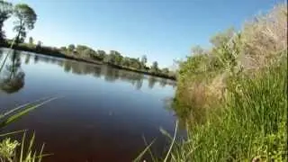 Slab Jiggies on the native trout